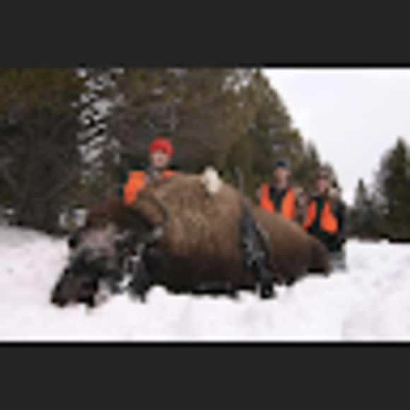 Meet your Posher, Amy - Picture 1 of 1